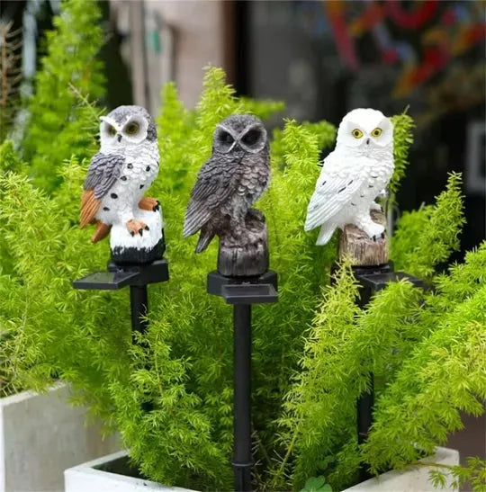 🔥 Holiday Special 50% OFF 🔥 Waterproof Solar Owl Light